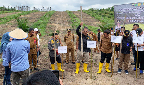 Penanaman padi gogo di Desa Panca Bakti, Kecamatan Sungai Bahar, Kabupaten Muarojambi | dki-mj