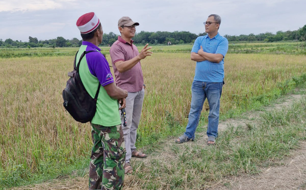 Anggota DPRD Provinsi Jambi, Muhammad Nasir, meninjau lahan persawahan di Olak Kemang, Selasa | ran