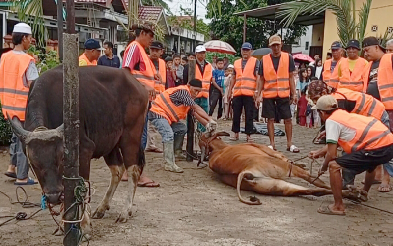 Penyembelihan hewan qurban di halaman Masjid Al Ikhlas Blok C Perumahan Aurduri, Kelurahan Aur Kenali, Telanaipura, Kota Jambi, Jumat pagi | dia