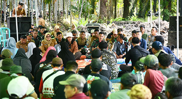 Penanaman perdana peremajaan sawit rakyat, di Desa Sukamaju, Geragai, Tanjung Jabung Timur, Senin | dki-tjt