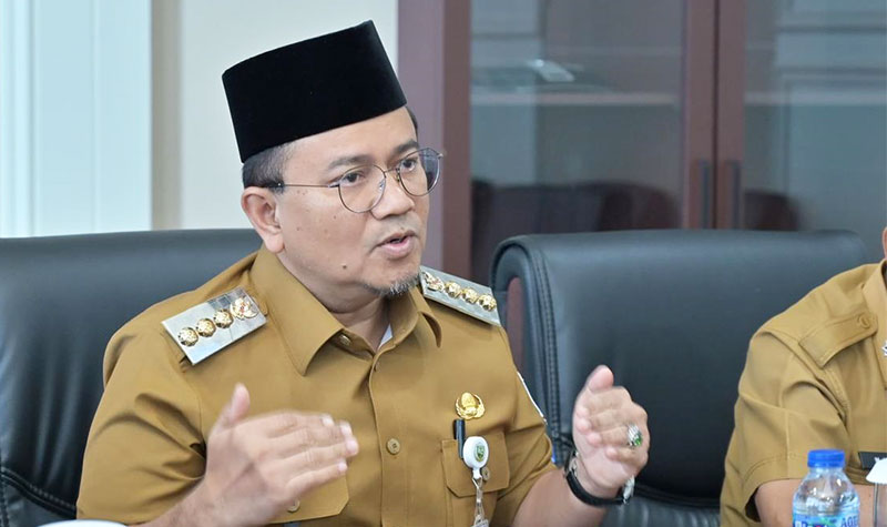 Wali Kota Jambi, Dr. Maulana
