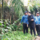 Wakil Wali Kota Jambi, Diza Hazra Aljosha, meninjau lahan terdampak pembangunan kolam retensi, di Kelurahan Paal V, Senin, 17 November 2025 | dki-kj