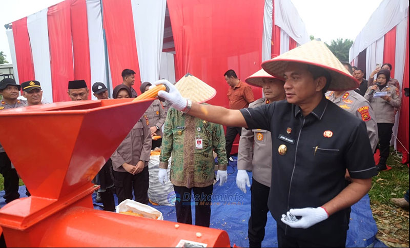 Wakil Bupati Muaro Jambi, Junaidi Mahir, Panen Raya Jagung Serentak Kuartal I, di Desa Tunas Mudo, Kecamatan Sakernan, Kamis | dki-mj