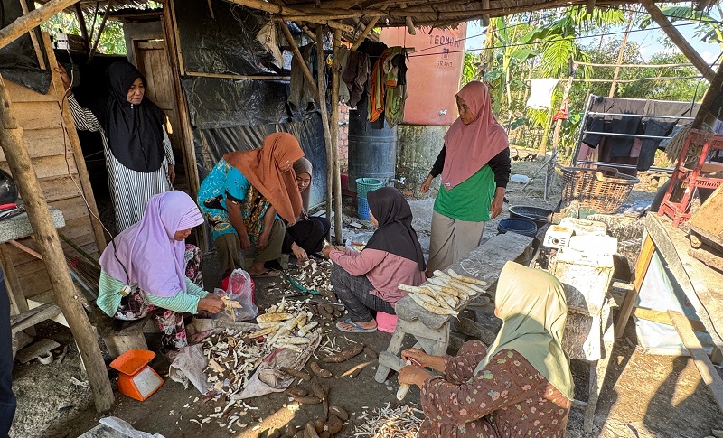 Ibu-ibu KWT Embun Pagi binaan Jambi Merang mengolah singkong yang panennya melimpah. Singkong diolah menjadi tepung mocaf yang bernilai ekonomi lebih tinggi | pep