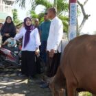 Hesti Haris menyerahkan hewan kurban dari BKMT Provinsi Jambi, Selasa | novri