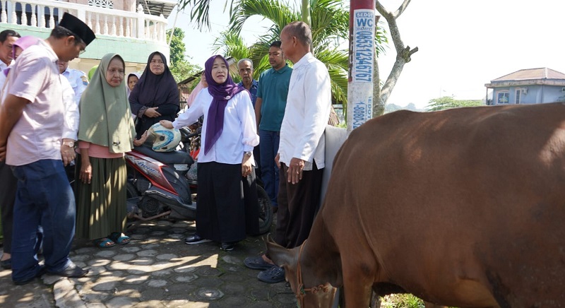 Hesti Haris menyerahkan hewan kurban dari BKMT Provinsi Jambi, Selasa | novri