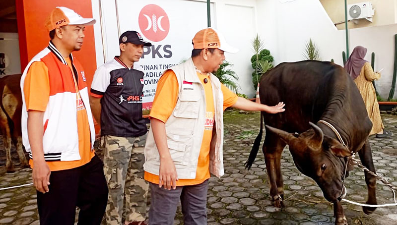 DPW PKS Jambi menyembelih hewan kurban, di halaman Kantor DPW PKS Jambi, Kamis 28 Mei 2026 | noe
