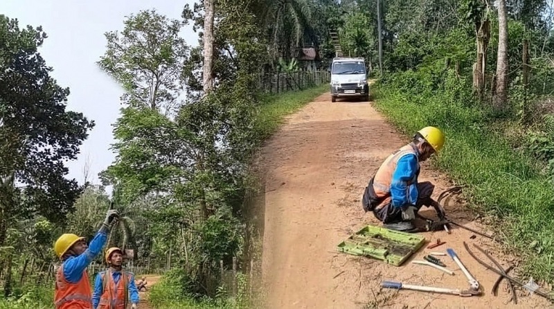 Petugas PLN memperbaiki kabel yang diputus akibat dicuri maling, di Kabupaten Muaro Jambi | nst
